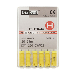 H FILE (NICKEL-TITANIUM) .02/21MM(ISO 20)